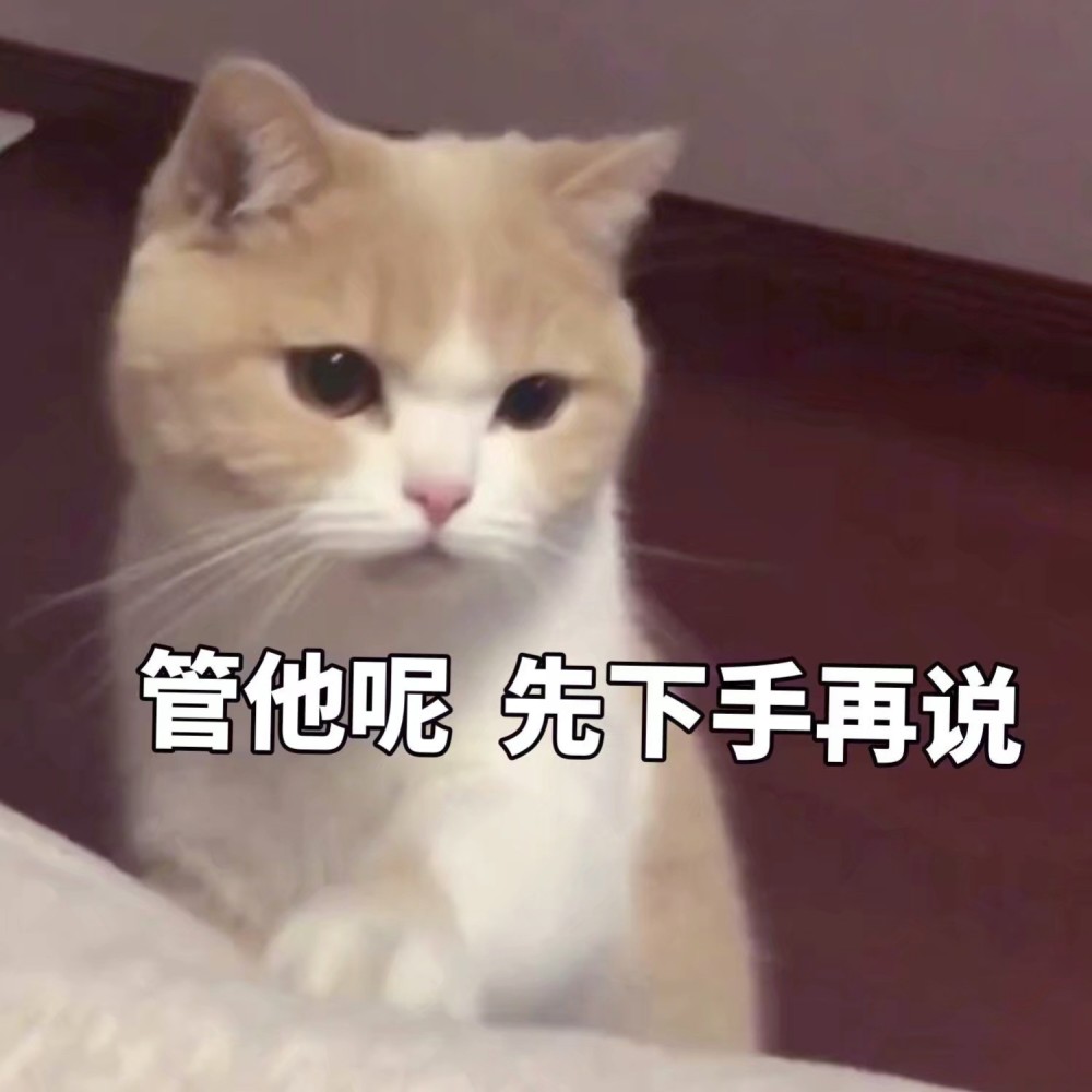 可爱猫咪搞笑表情包:你,你竟然想害我!