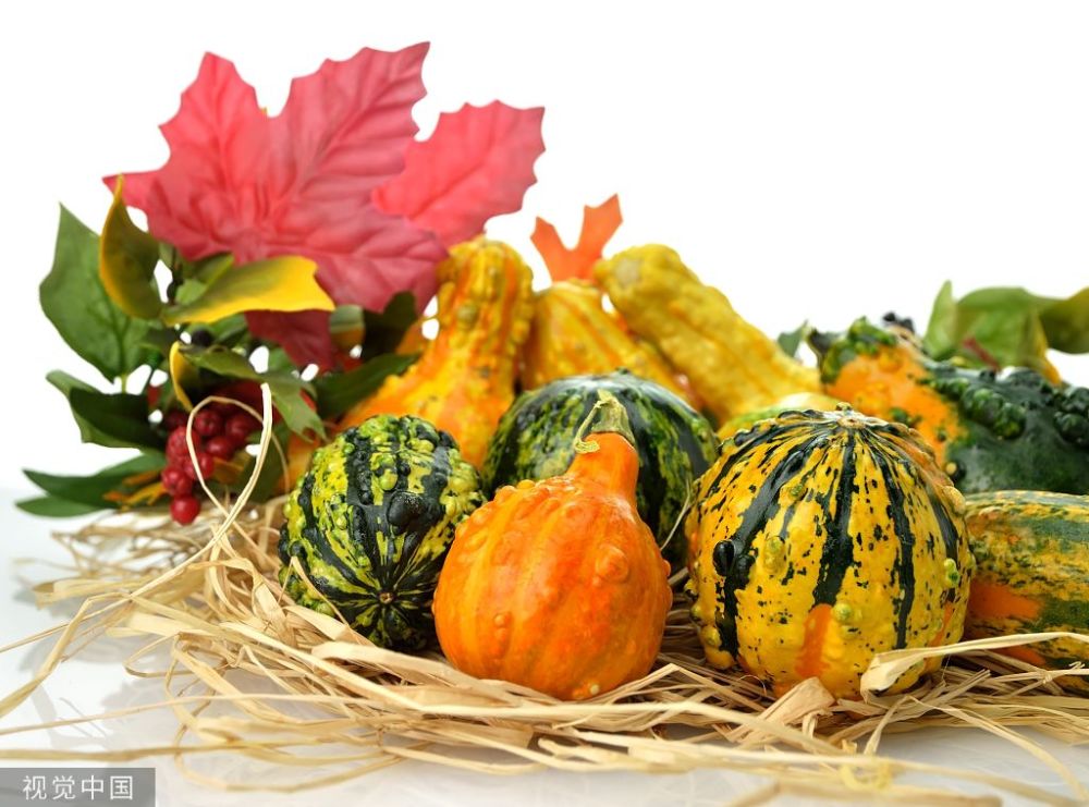 秋季饮食 腾讯网