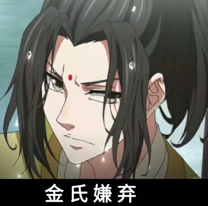 魔道祖师搞笑表情包:羡羡说你是个好人,但是你和他真的不合适!