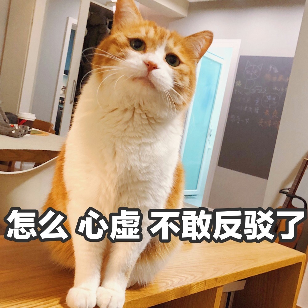 可爱猫咪搞笑表情包:怎么了,心虚了,不敢反驳我了!