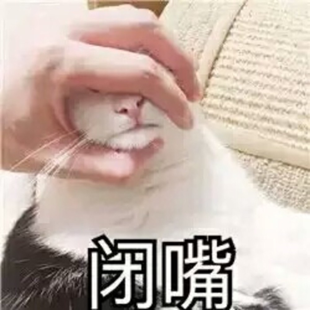 可爱猫咪搞笑表情包:怎么了,心虚了,不敢反驳我了!