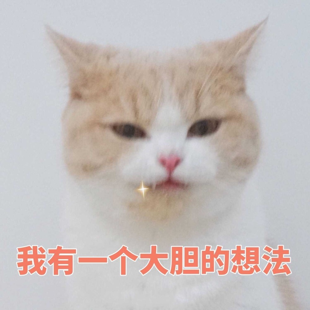 可爱猫咪搞笑表情包:怎么了,心虚了,不敢反驳我了!