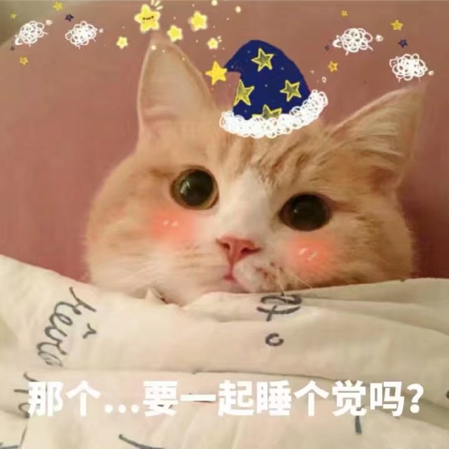 可爱猫咪搞笑表情包:那个.,要一起睡觉吗!