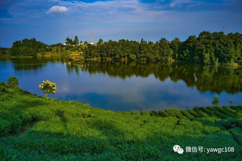 鸟瞰名山月亮湖,浪漫茶乡的绿翡翠