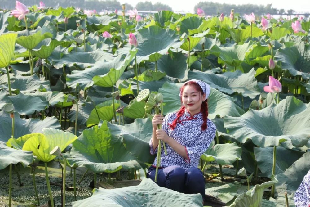 一首歌,一座城:"洪湖水"将再次唱响央视各大频道