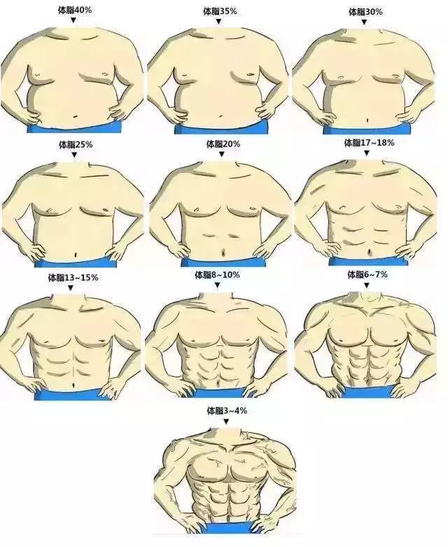 一般来说,男性能看到腹肌线条的体脂通常在 15%左右,女性则为 22%.