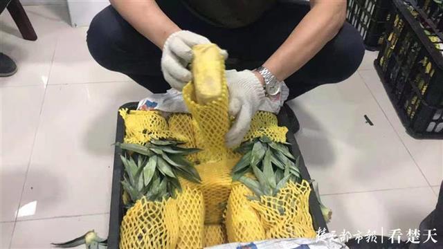 50吨菠萝中暗藏54公斤麻果 民警“卸”了一通宵