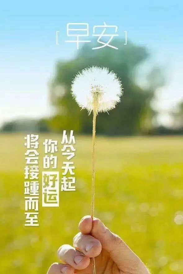 周三早安心语阳光图片:每天都是好时光,不容浪费