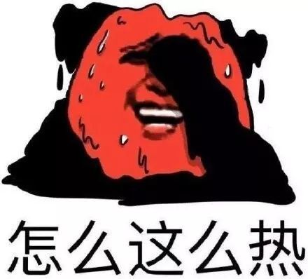 搞笑出去溜达一圈简直是热化了表情包,室内温度40度