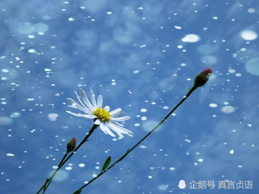 张坚原创 寄语寒衣节