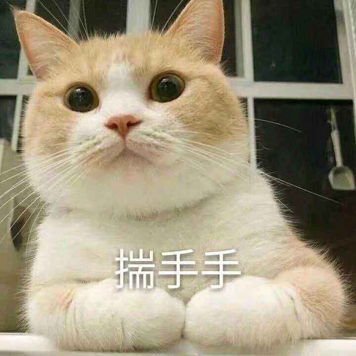 可爱猫咪搞笑表情包乖巧的我等你回家