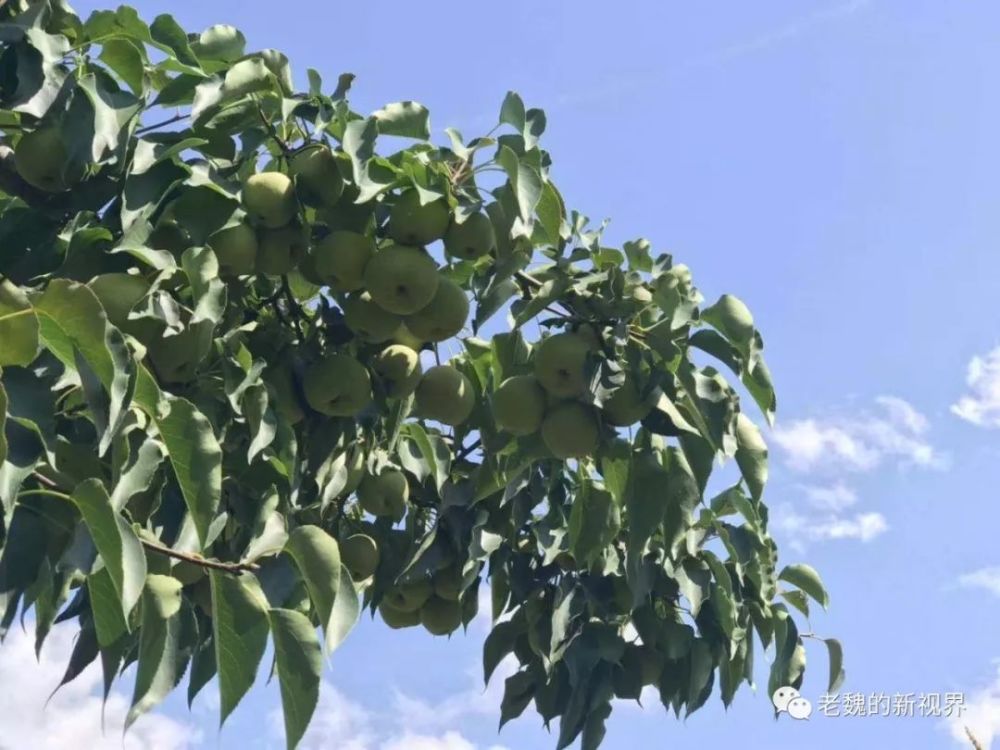 神机妙算刘伯温传说曲谱(3)