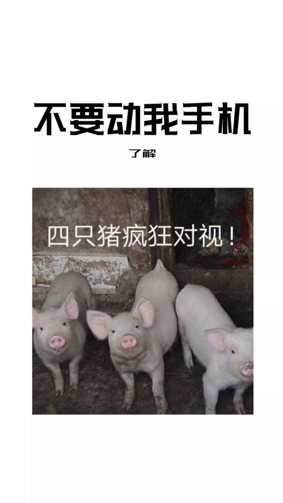 抖音超火壁纸 | 不要碰我手机锁屏壁纸