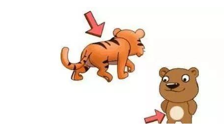 看图猜成语—猜对3个以上算你厉害!