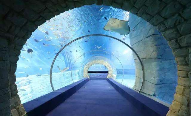 世界上最长海底隧道,预计投资2600亿,此隧道将在中国