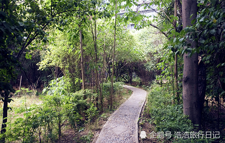 西安最小的公园——无极公园,面积仅有22亩,已被遗忘