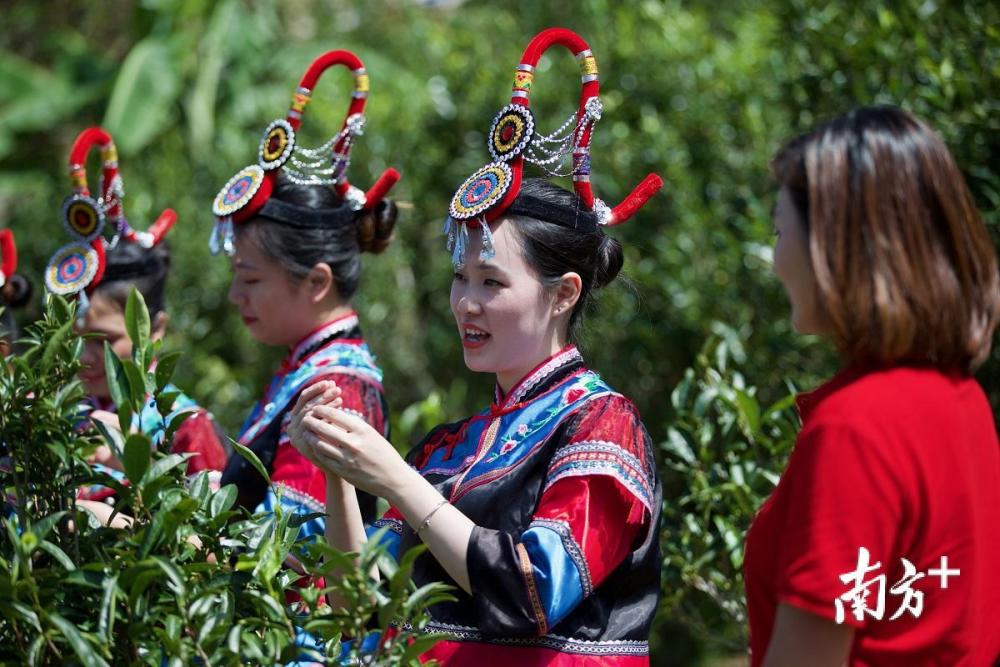 梅州畲族村花式庆祝中国农民丰收节