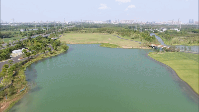 凤凰湖|江苏|张家港市|梁丰湖|香山湖公园|暨阳湖