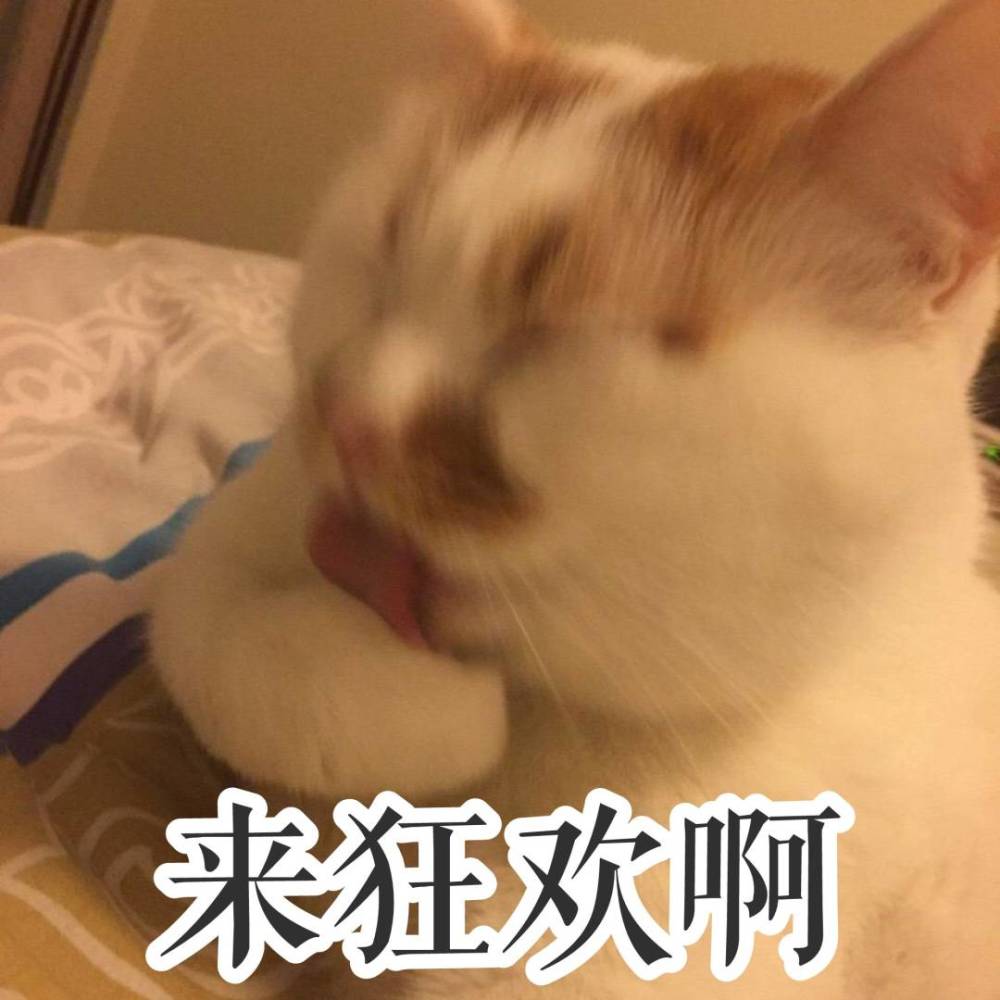 表情包|来狂欢啊