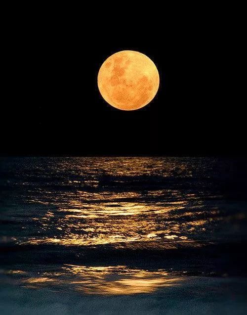 有水的地方最适合拍月亮,水面的倒影让美丽加倍.