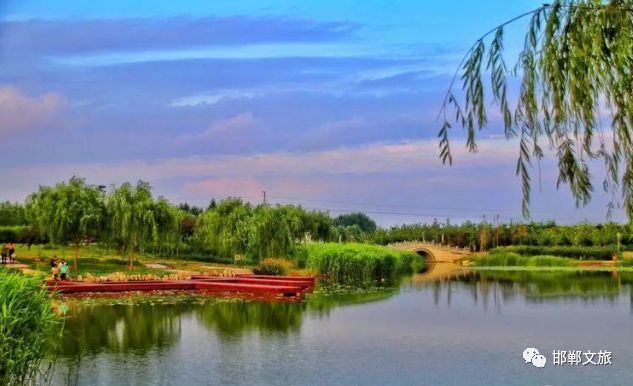 大名千亩森林生态园