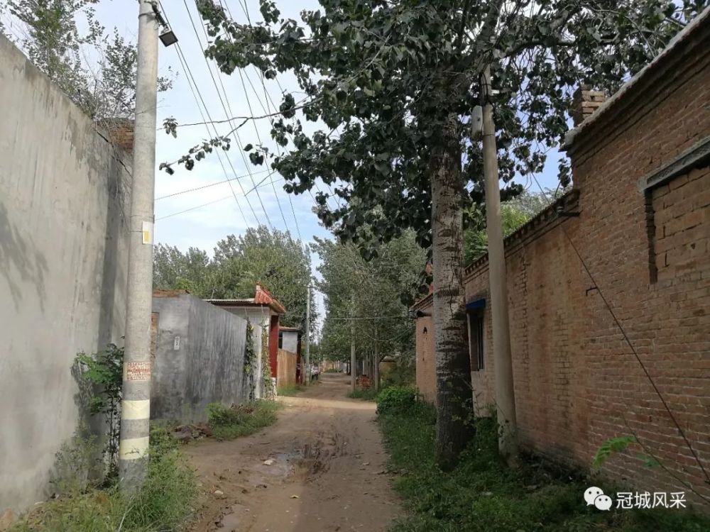 冠县乡韵·李寨村