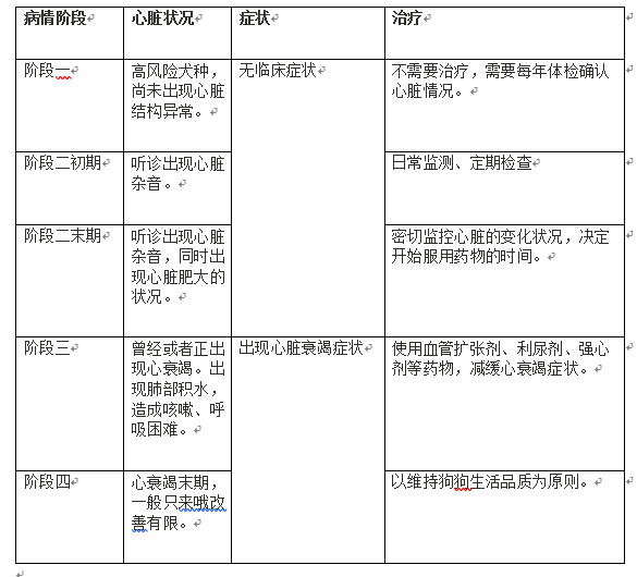 狗狗心脏病与犬种的关系,如何发现和治疗,选对用药时间很关键