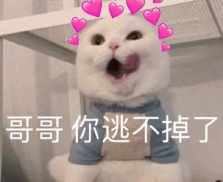 全是亲亲的表情包!