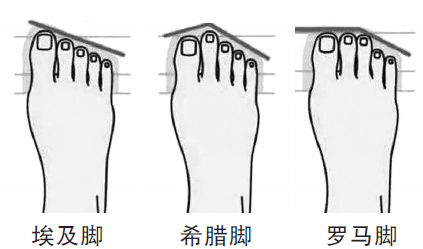 鞋柜导购不会告诉你:摸清脚型,才能选到合适的那一双