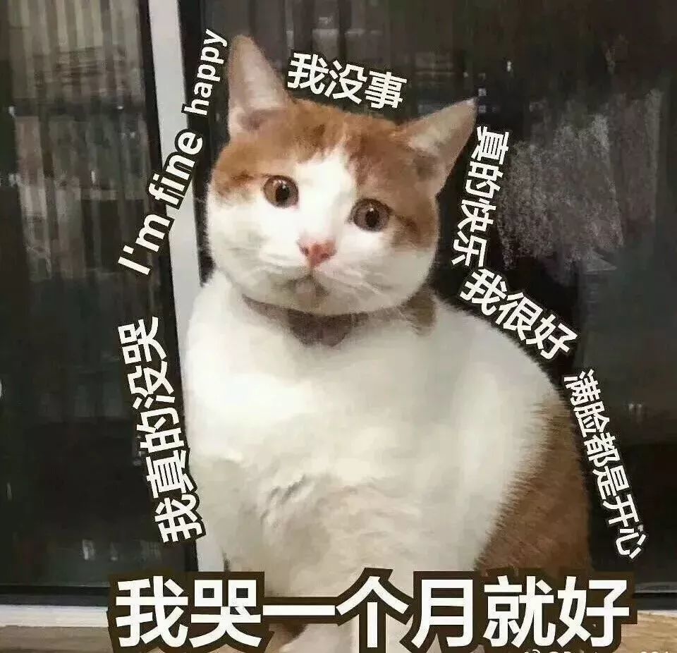 表情包|想你 脑袋瓜里全都是你鸭