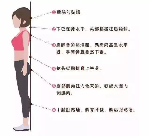 笔直站立5分钟 ,等于散步30分钟,还能明显瘦身.