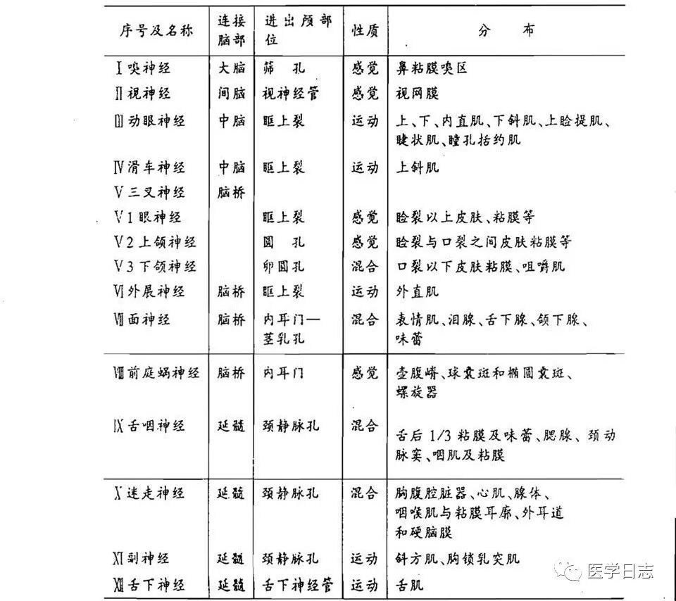 十二对脑神经歌诀及分类速记