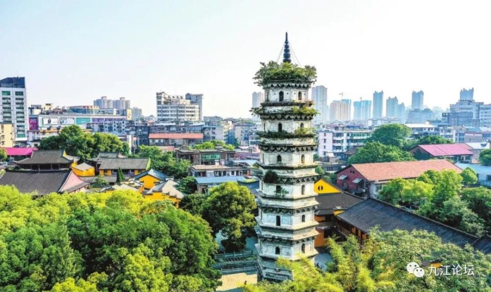 鸟瞰东林寺上方塔 王良山 摄