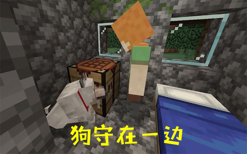 我的世界:猫与狗的4个方面对比,骨灰级玩家的答案近乎