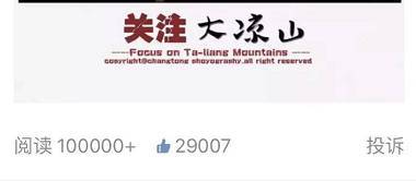 凤姐1篇文赚20万