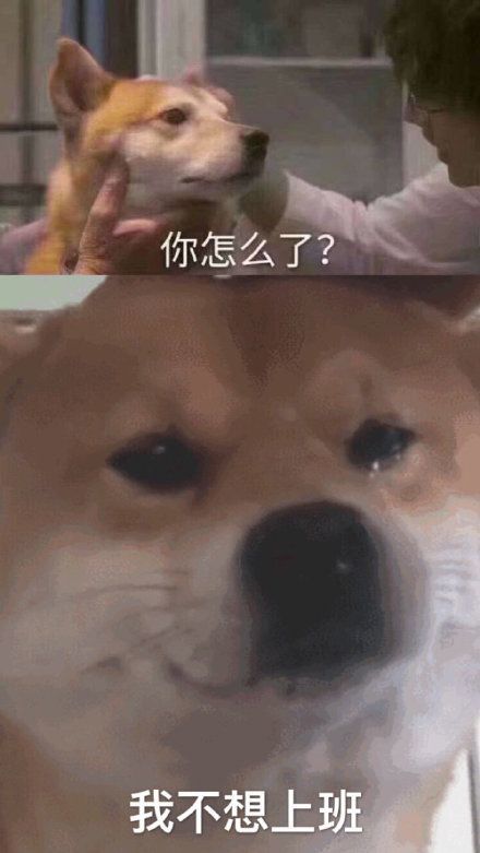 表情:嘴臭选手上线