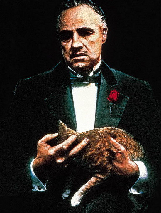 《教父》:一个传奇的家族的血泪史