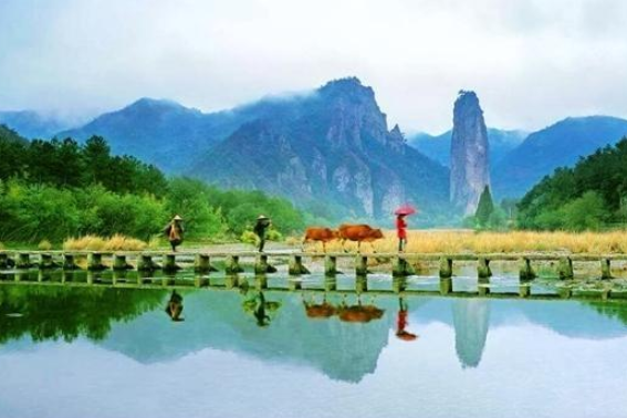 丽水能查6gdp_丽水职业技术学院