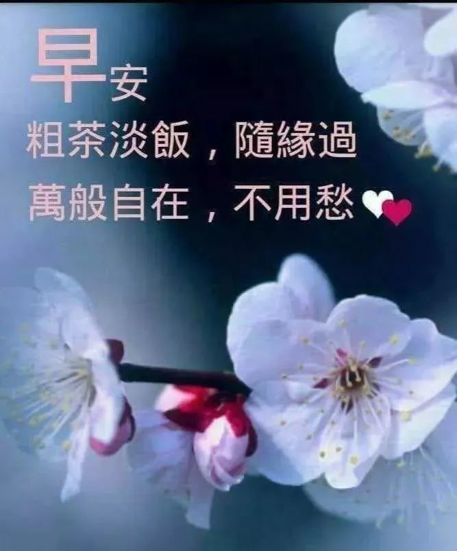 漂亮的早安问候动态表情图片,早安问候祝福语图片带字