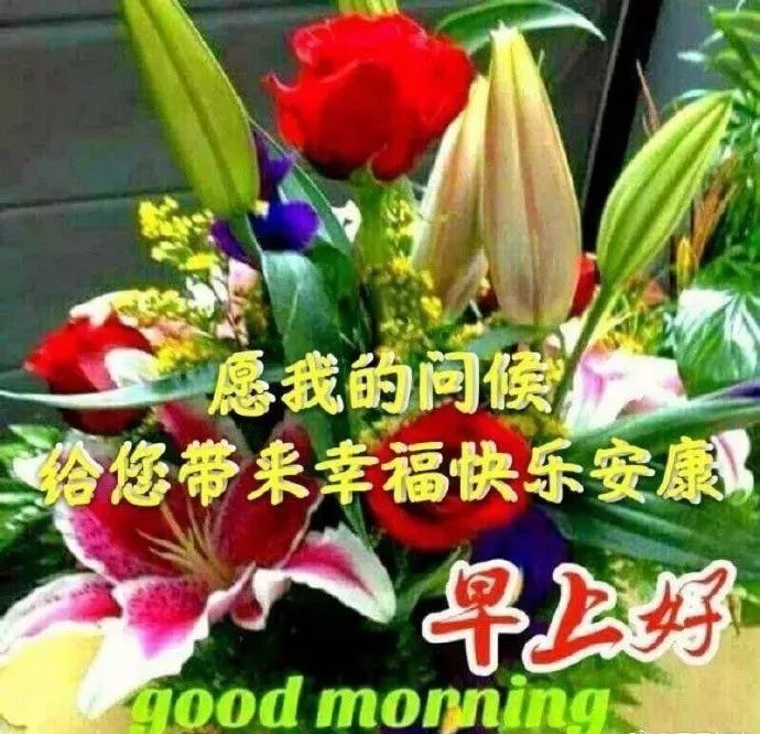 非常漂亮的早上好问候图片,朋友圈早上好问候唯美图片