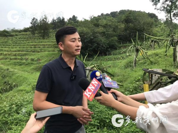 网易智造N520除螨仪，除螨吸尘率高达99%