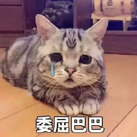 表情包:委屈的哭哭表情包