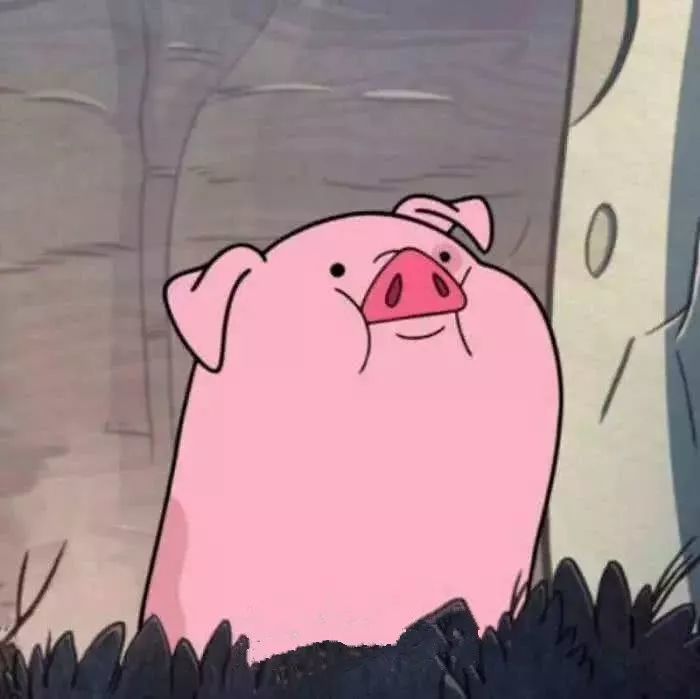 一只猪,也是佛的化身