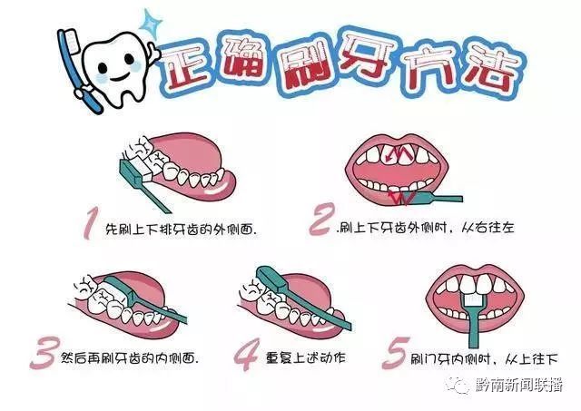 正确的科学刷牙方法一般采用巴氏刷牙法和竖直刷牙法,两种联合运用.