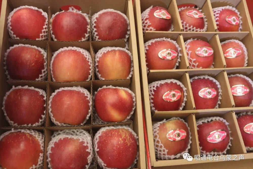 昭通苹果又一高品质品牌"昭阳红"盛装面世