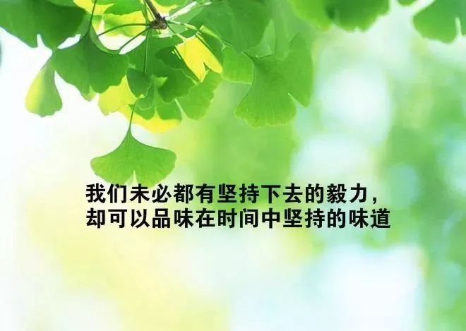 经典心灵鸡汤语录励志心灵鸡汤早安句子充满正能量的早安心语