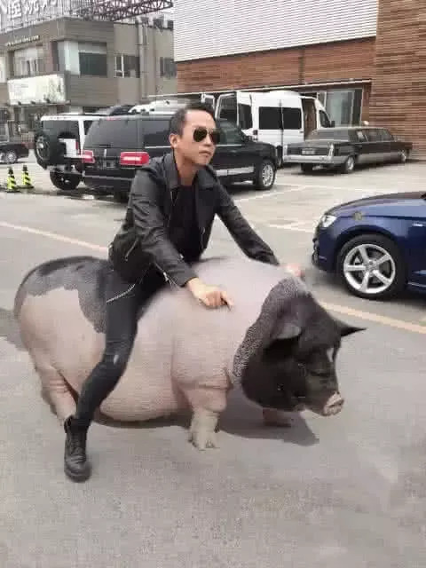 p图大神下手太狠了,蒙娜丽莎吃泡面,邓超骑猪看不下去