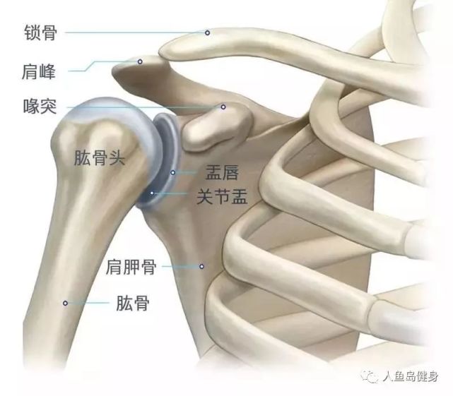 动作总是不到位你需强化肩关节的灵活度