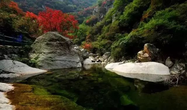 洛阳嵩县卧龙谷,满山秋色山涧幽潭,免门票等你来