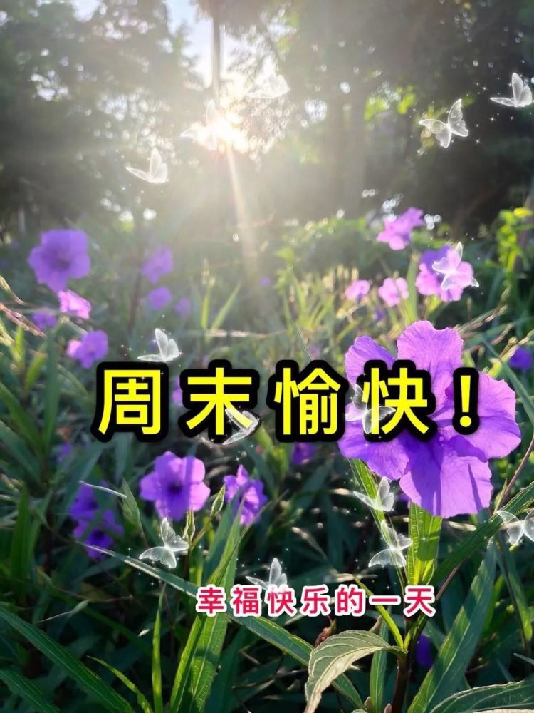 秋天到了特别出的最全早上好问好的句子简短适合星期天早上好群发的